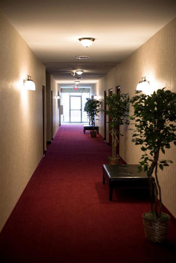 Pacer Inn & Suites Motel ديلاوير المظهر الخارجي الصورة
